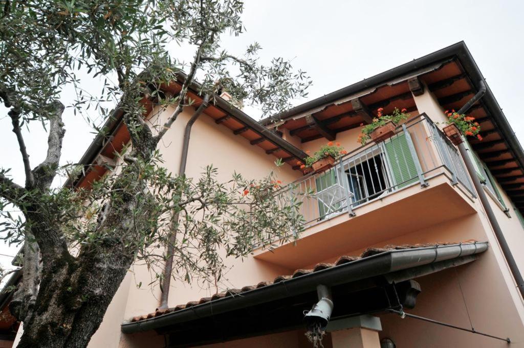 Bed and Breakfast La Madonnina Querceta Exteriér fotografie